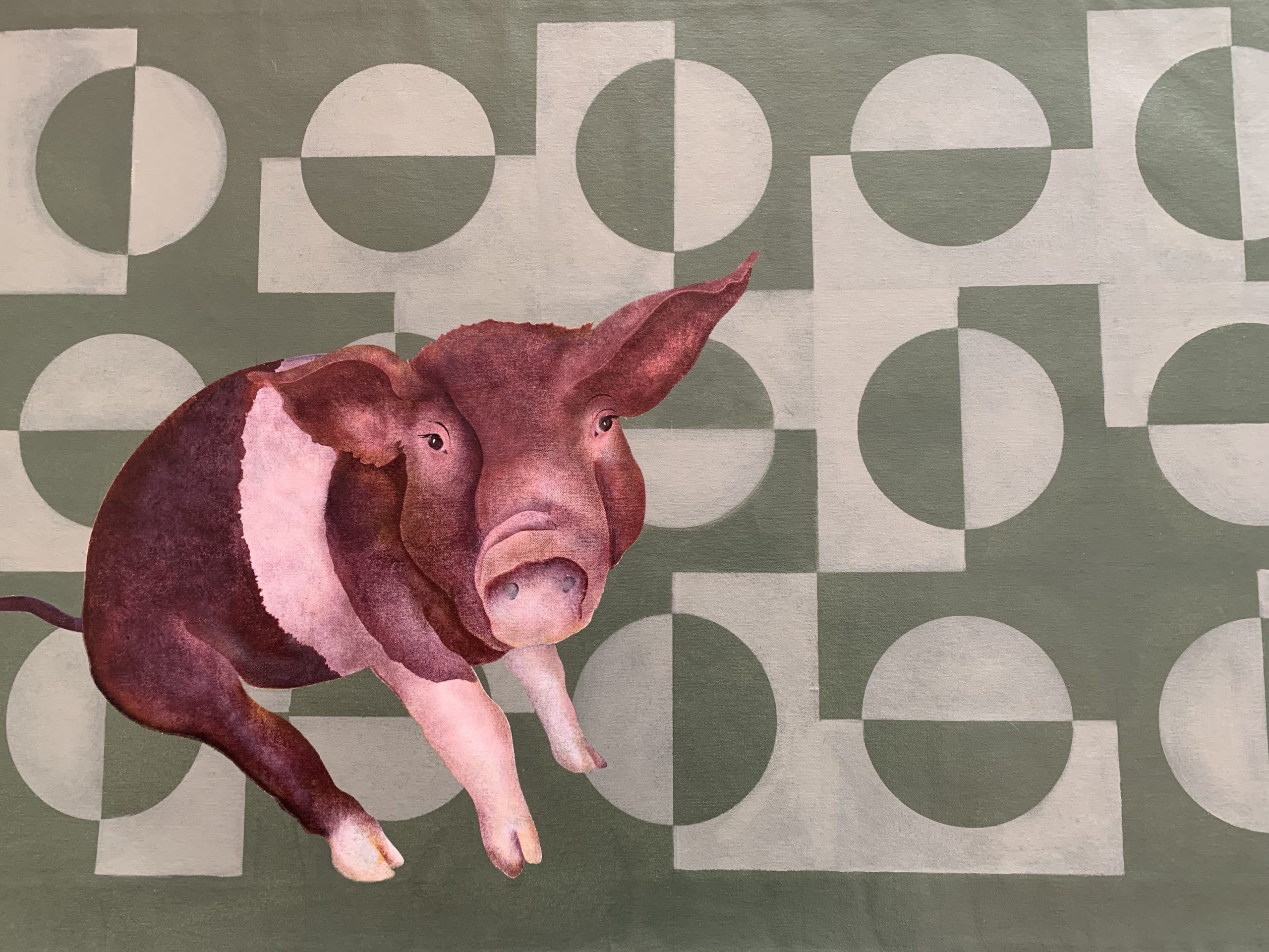 Laurie Cox-Schreiber