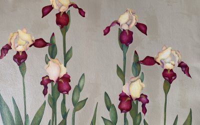 Laurie Cox-Schreiber