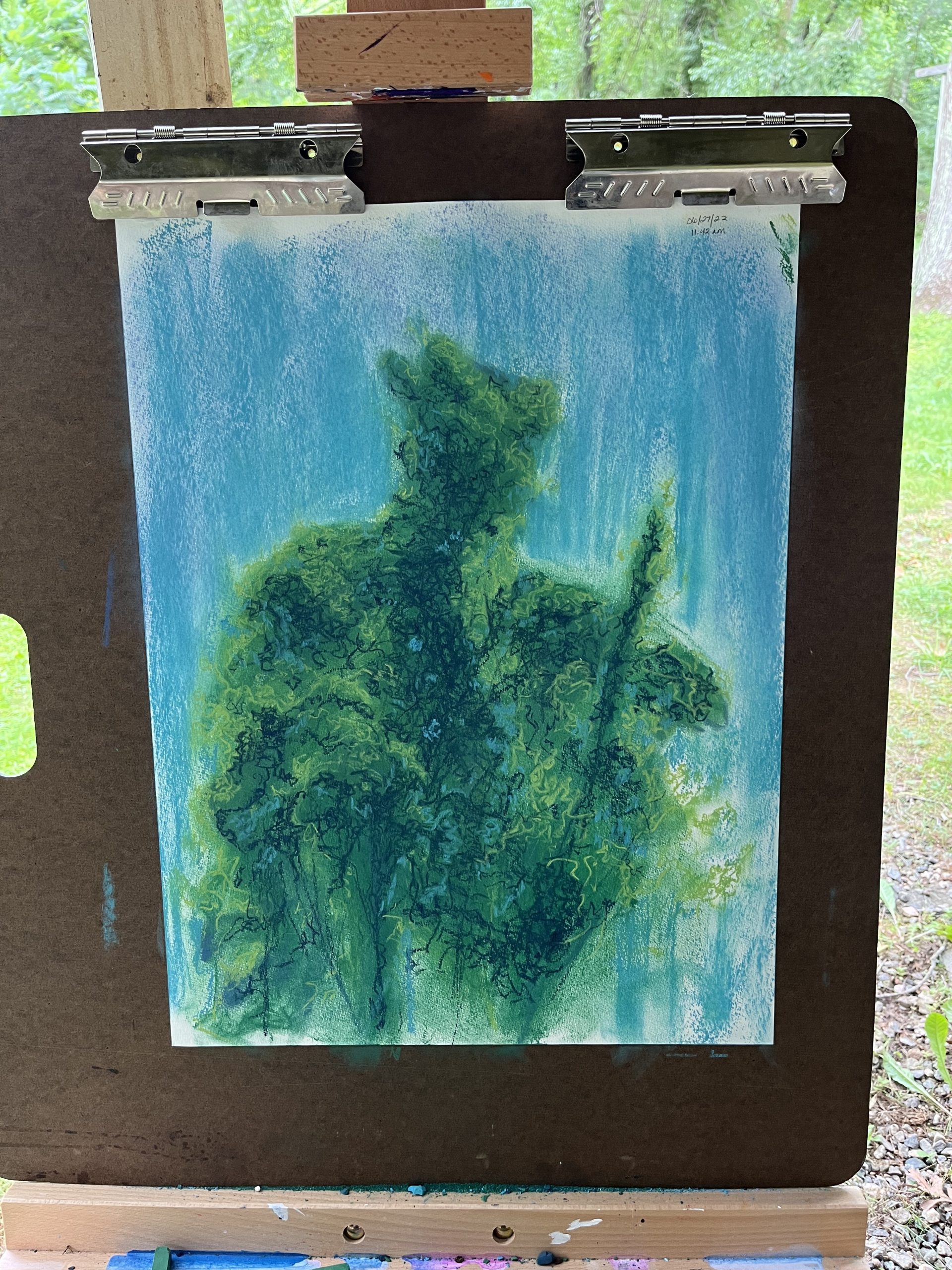 Madison Fogg Tree