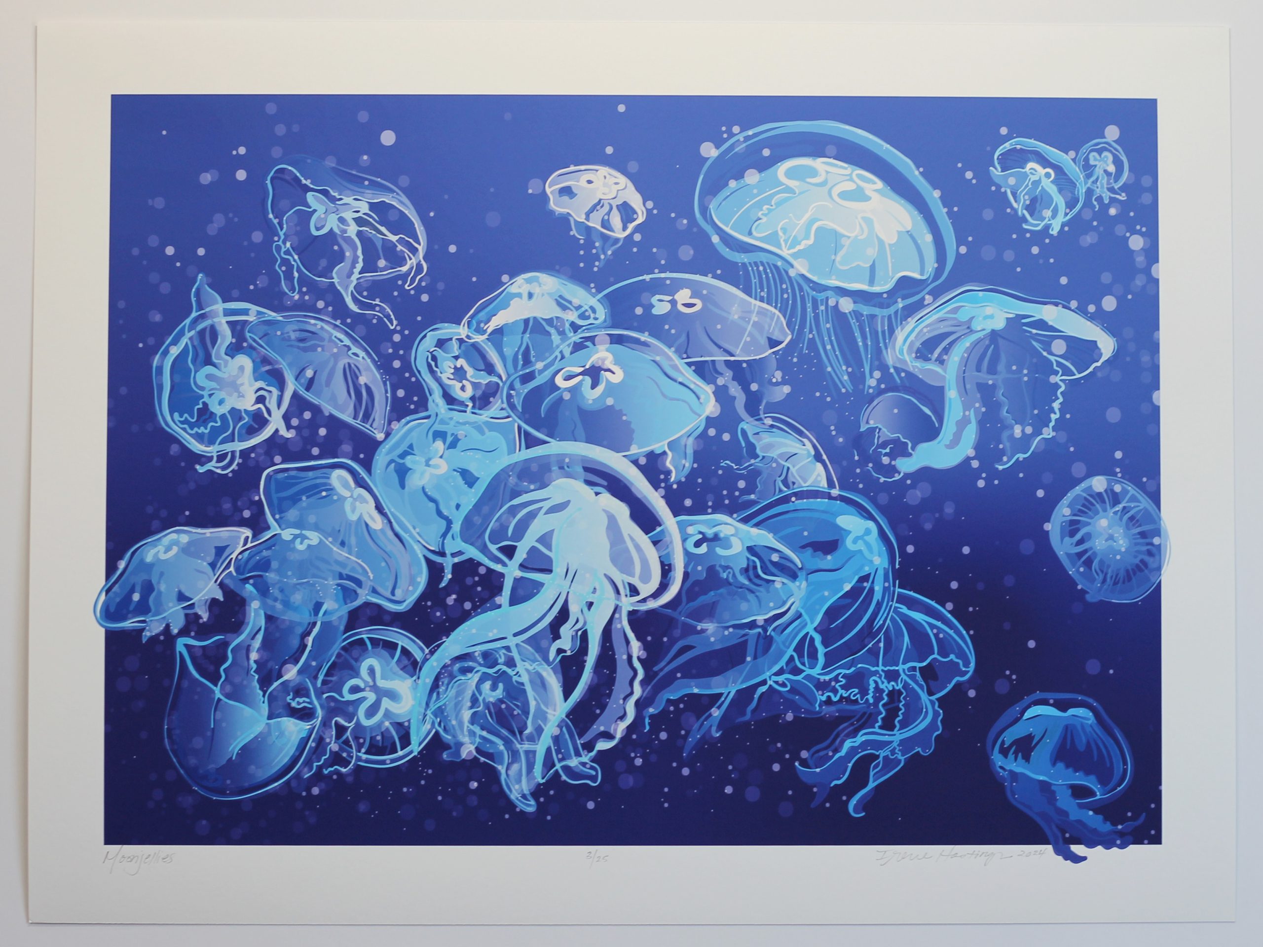 Moonjellies+print+photo