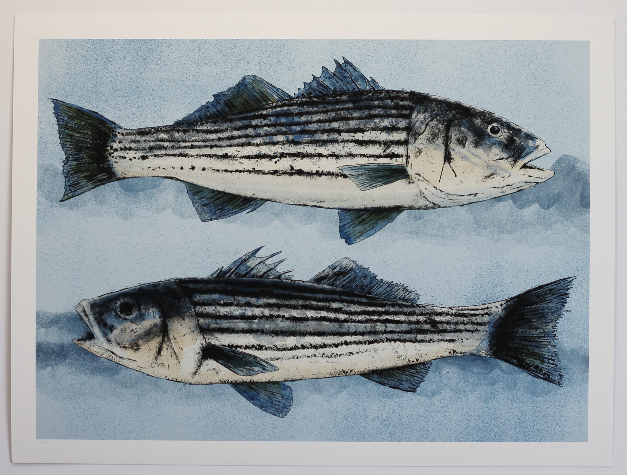 double striper